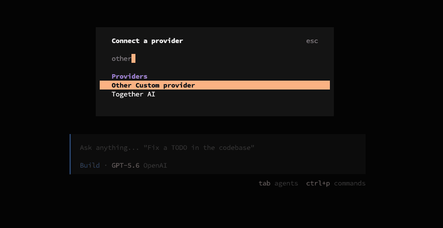 Connect a provider: выбран Other Custom provider